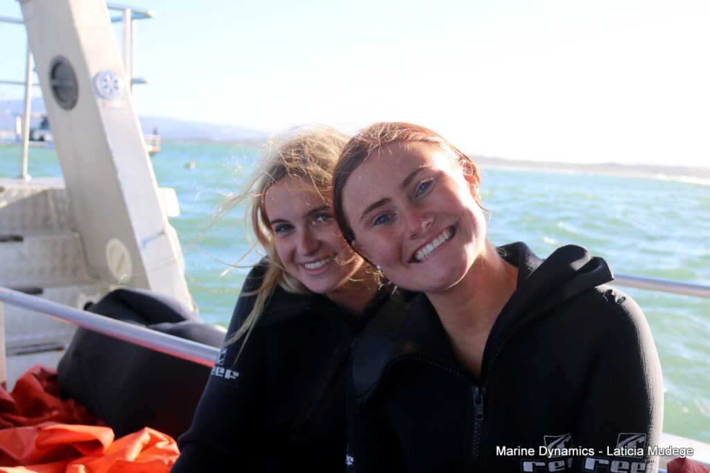 Shark cage diving, Gansbaai, South Africa