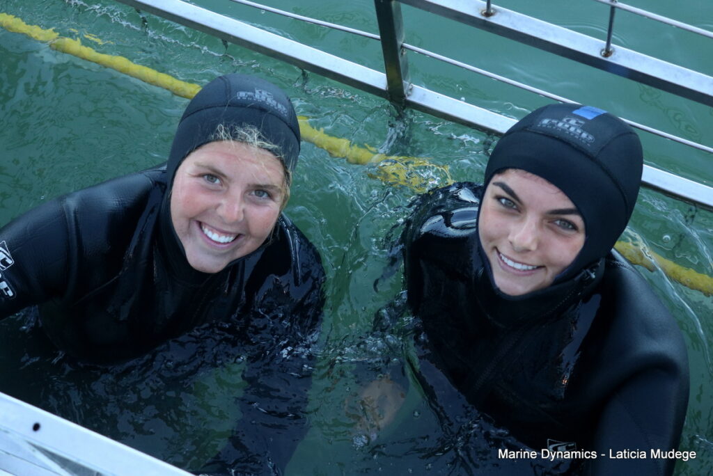 Shark cage diving, Gansbaai, South Africa