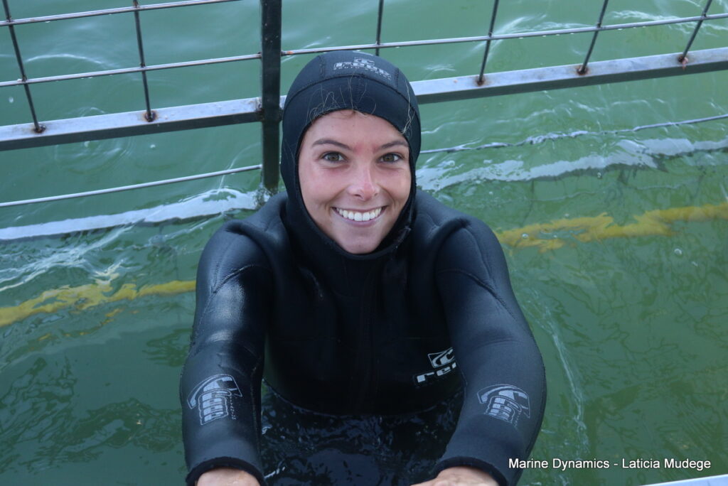 Shark cage diving, Gansbaai, South Africa