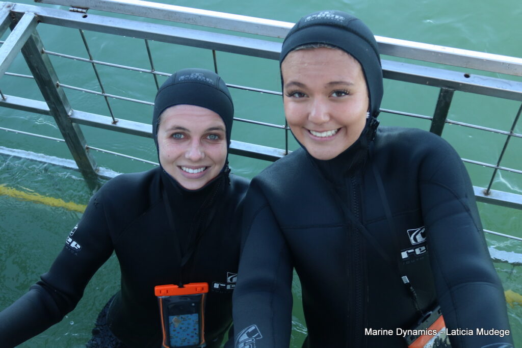 Shark cage diving, Gansbaai, South Africa