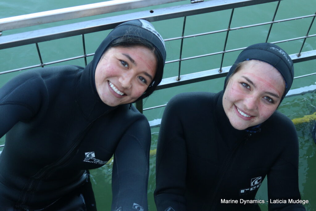 Shark cage diving, Gansbaai, South Africa