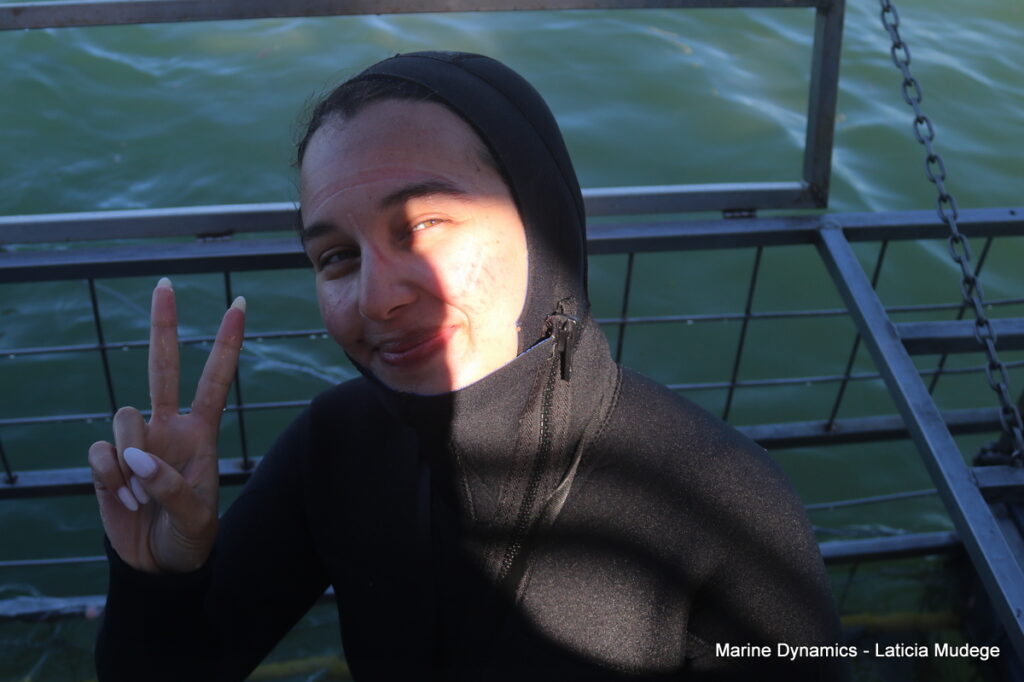 Shark cage diving, Gansbaai, South Africa