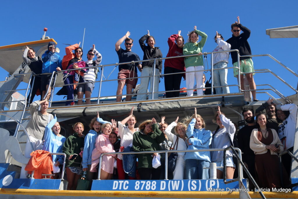 Shark cage diving, Gansbaai, South Africa