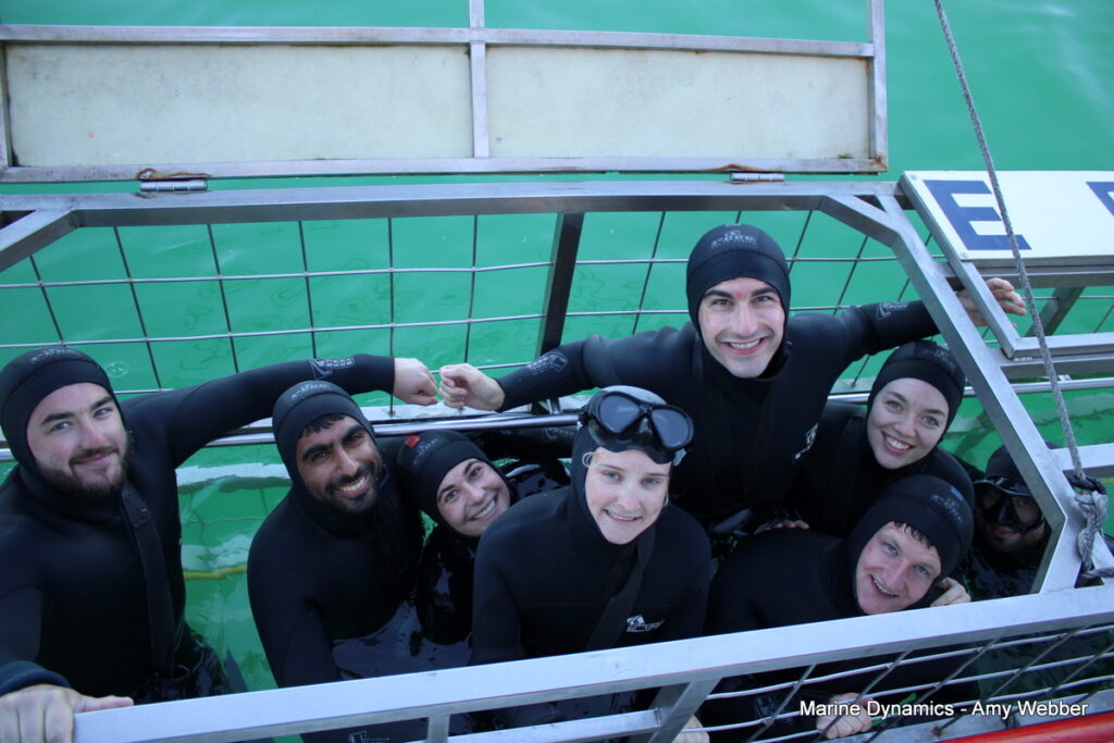 Shark cage diving, Gansbaai, South Africa