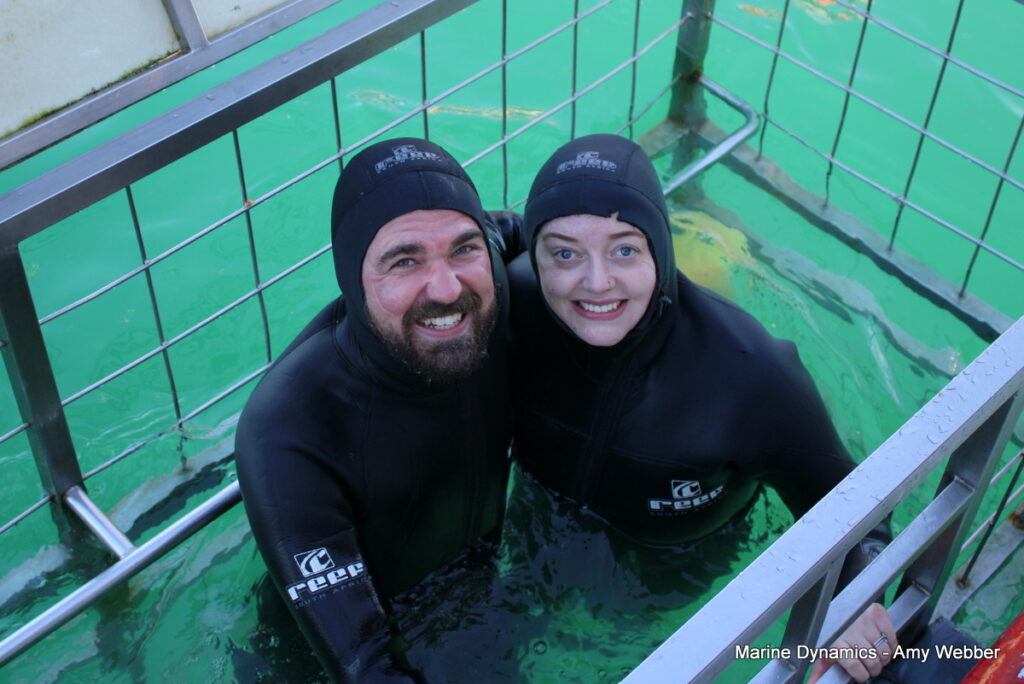 Shark cage diving, Gansbaai, South Africa