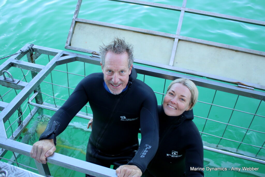 Shark cage diving, Gansbaai, South Africa
