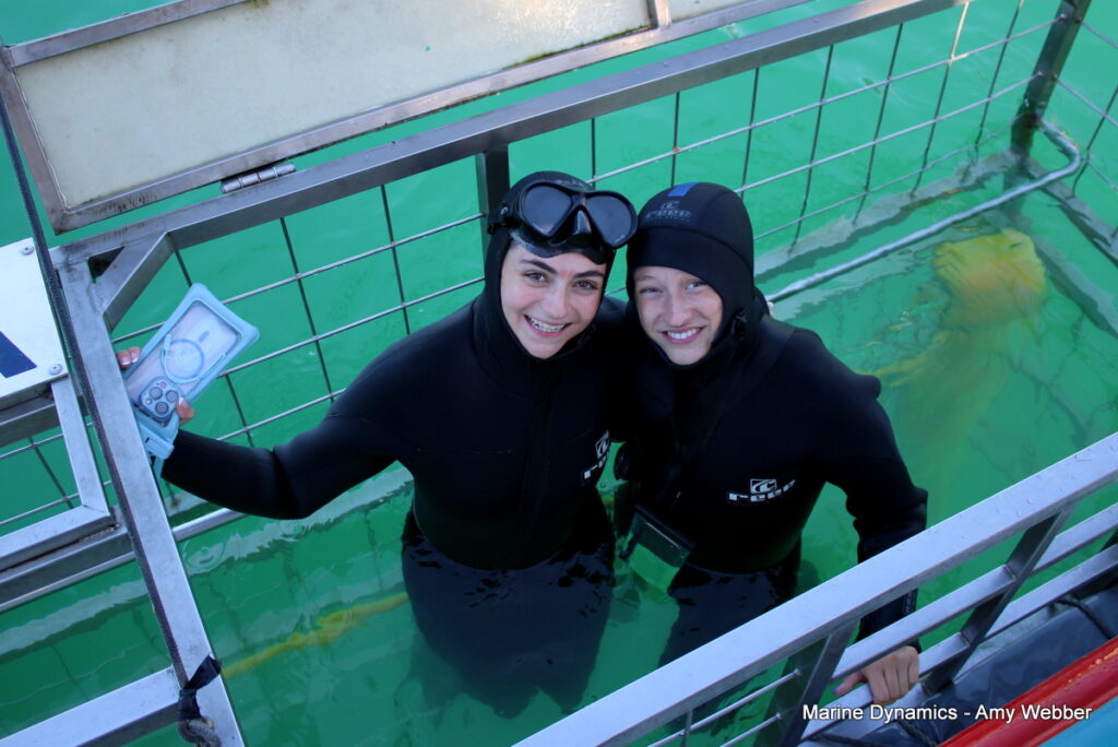 Shark cage diving, Gansbaai, South Africa