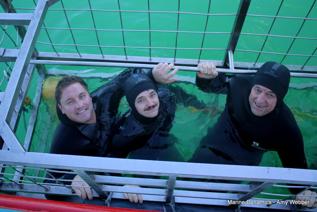 Shark cage diving, Gansbaai, South Africa