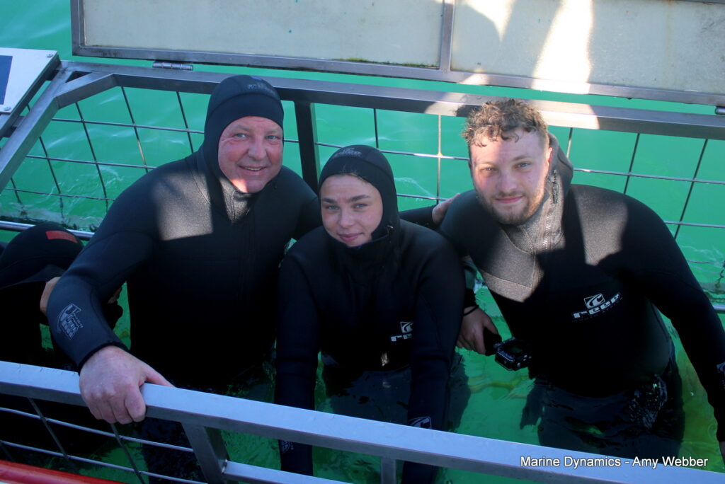 Shark cage diving, Gansbaai, South Africa