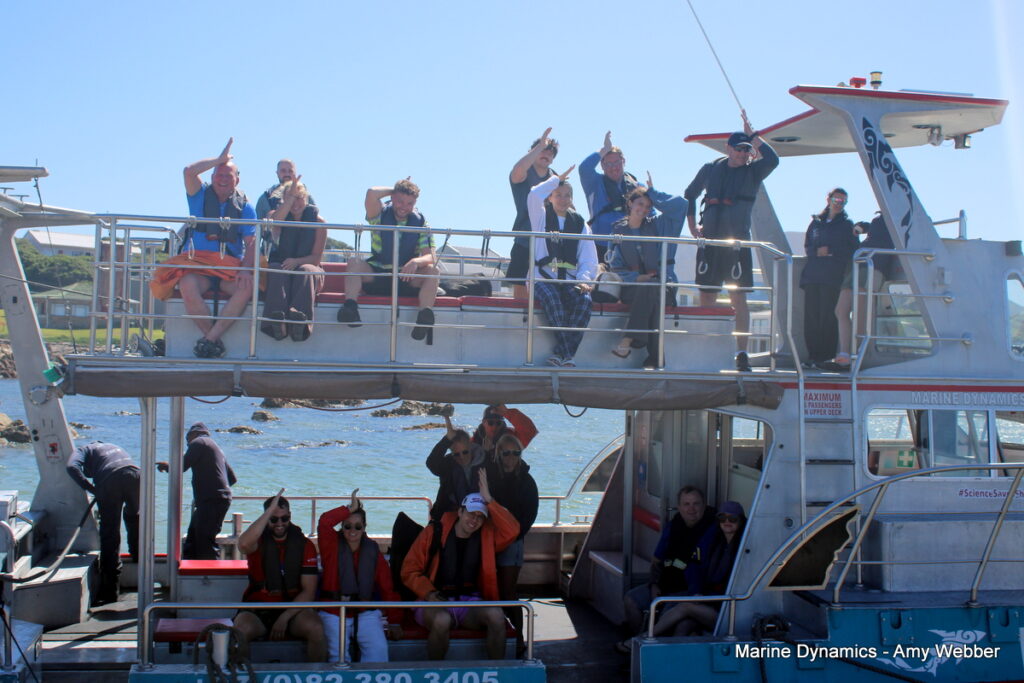 Shark cage diving, Gansbaai, South Africa