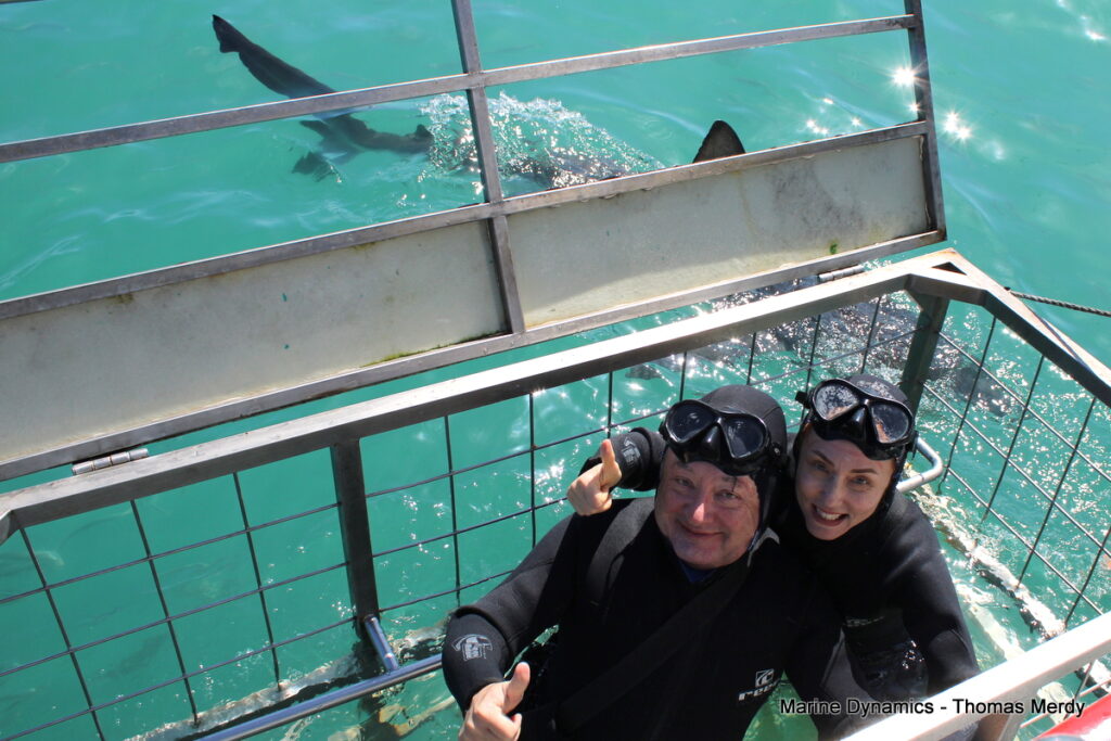 Shark cage diving, South Africa, Gansbaai