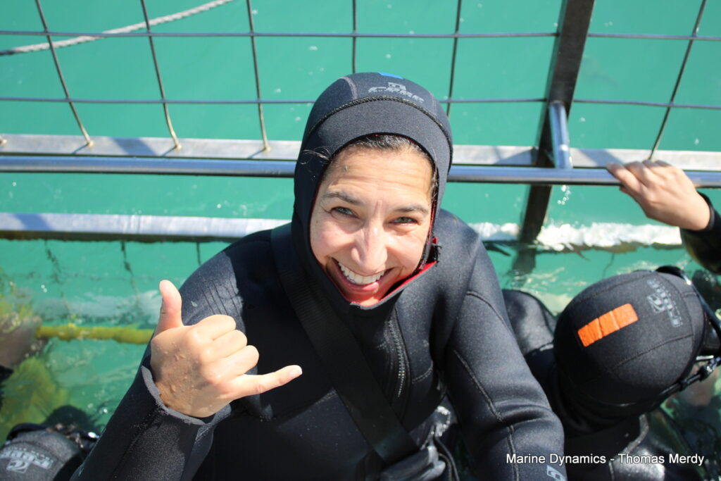 Shark cage diving, South Africa, Gansbaai