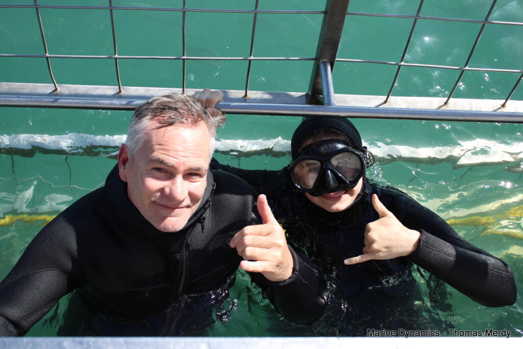 Shark cage diving, South Africa, Gansbaai