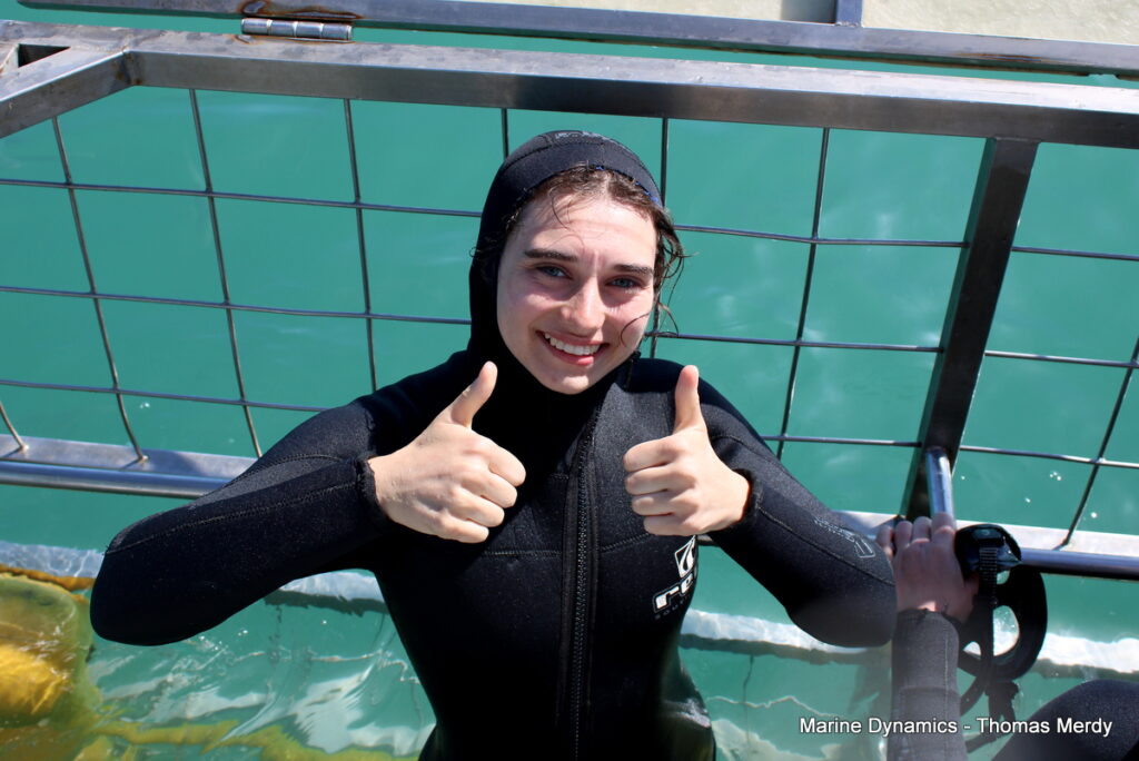 Shark cage diving, South Africa, Gansbaai