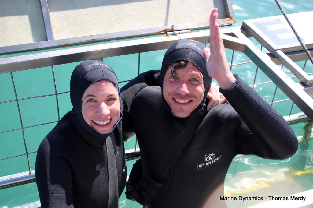 Shark cage diving, South Africa, Gansbaai