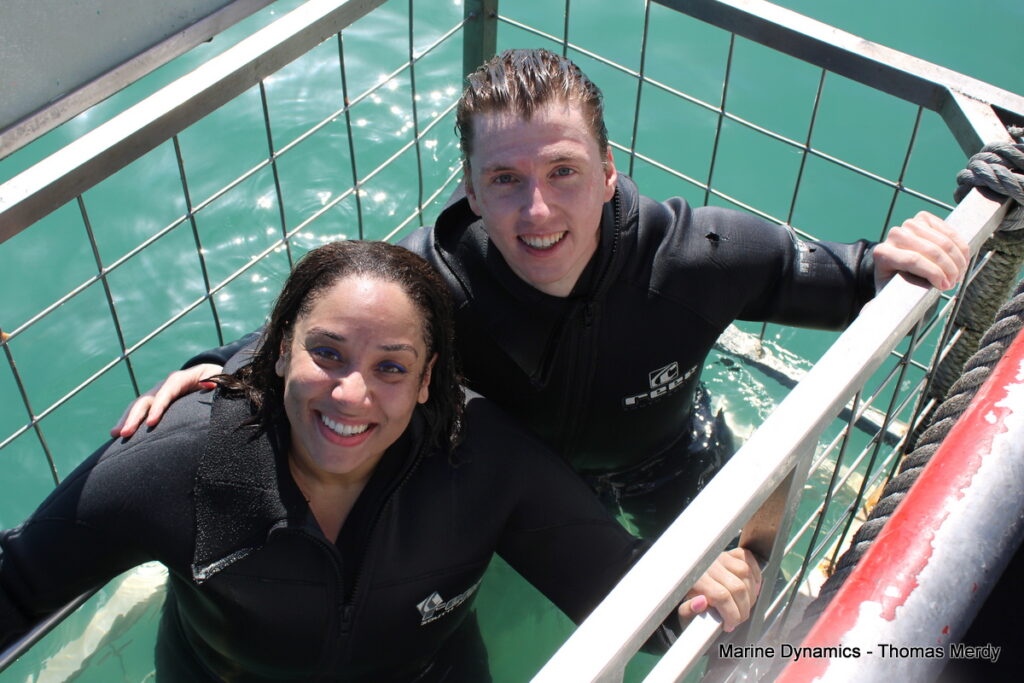 Shark cage diving, South Africa, Gansbaai