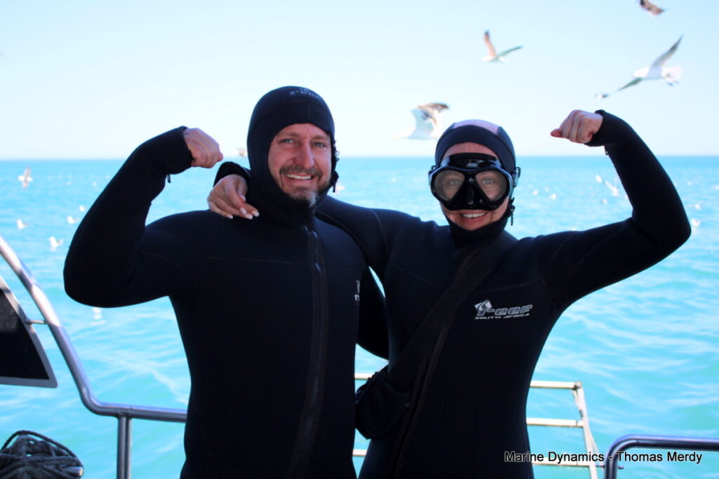 Shark cage diving, South Africa, Gansbaai