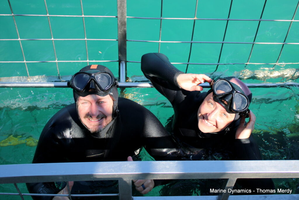 Shark cage diving, South Africa, Gansbaai