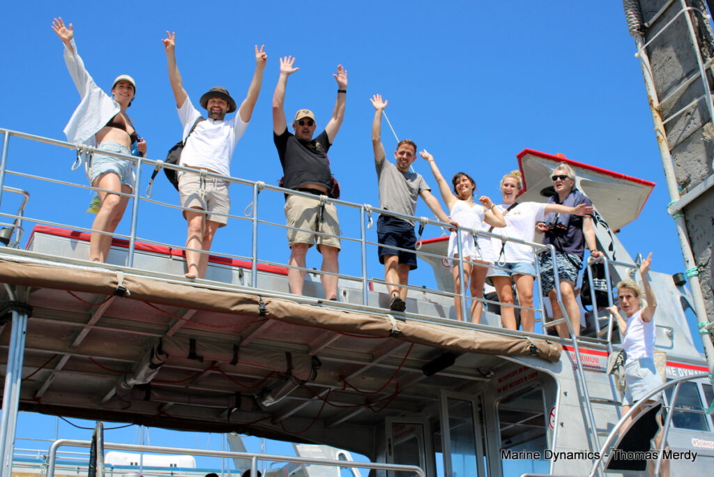 Shark cage diving, South Africa, Gansbaai