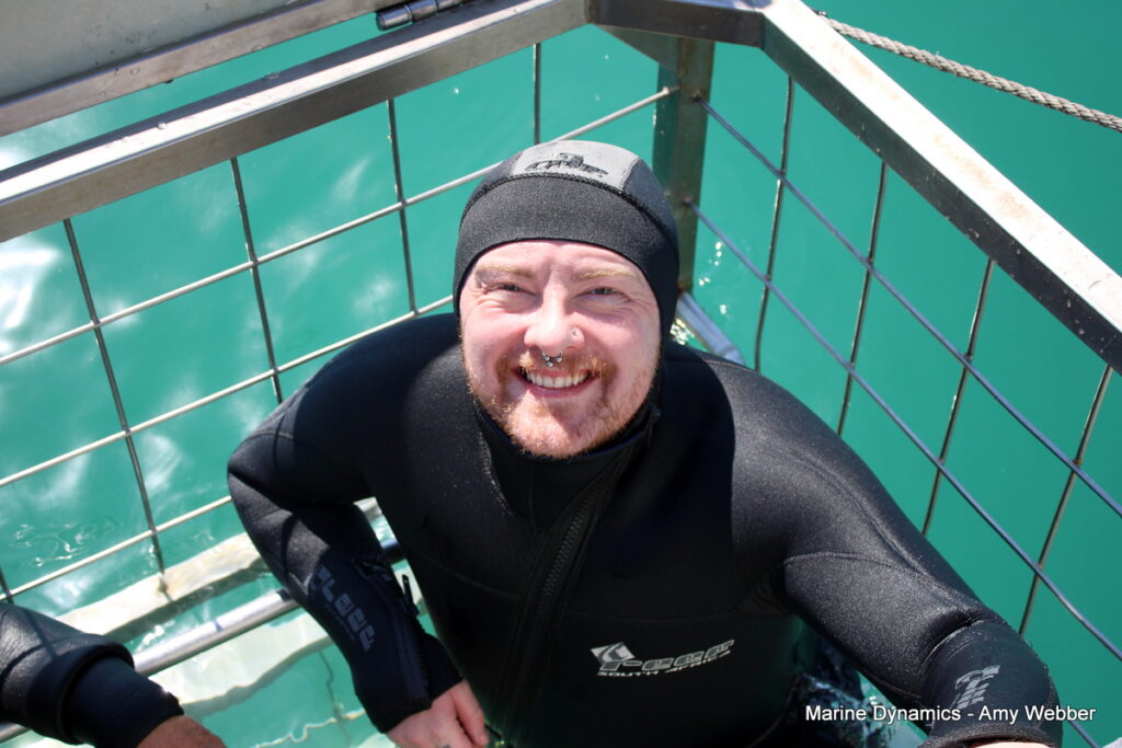 Shark cage diving, Gansbaai, South Africa