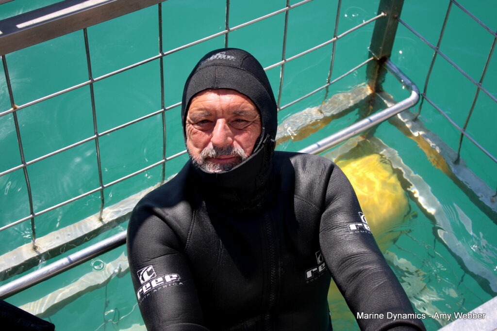 Shark cage diving, Gansbaai, South Africa