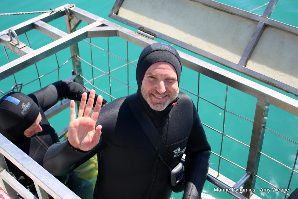 Shark cage diving, Gansbaai, South Africa