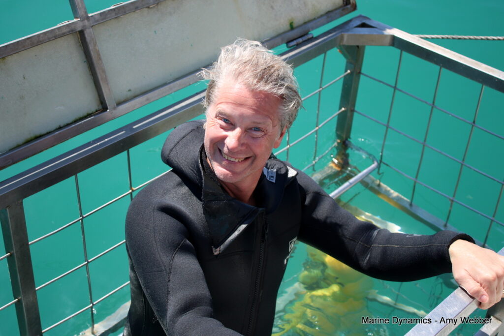 Shark cage diving, Gansbaai, South Africa