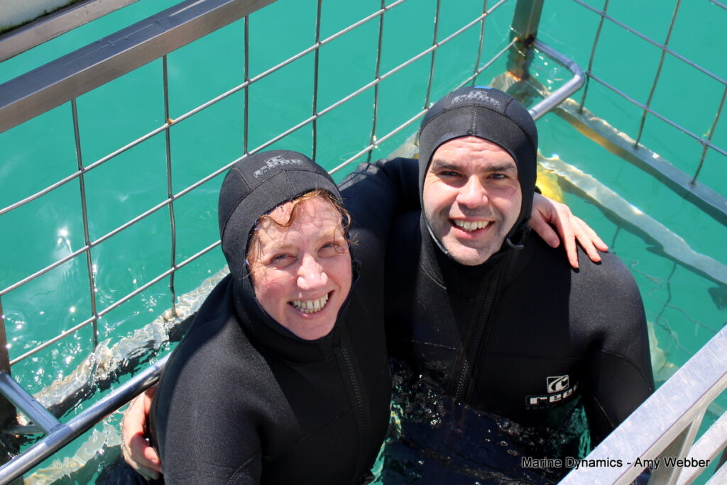 Shark cage diving, Gansbaai, South Africa