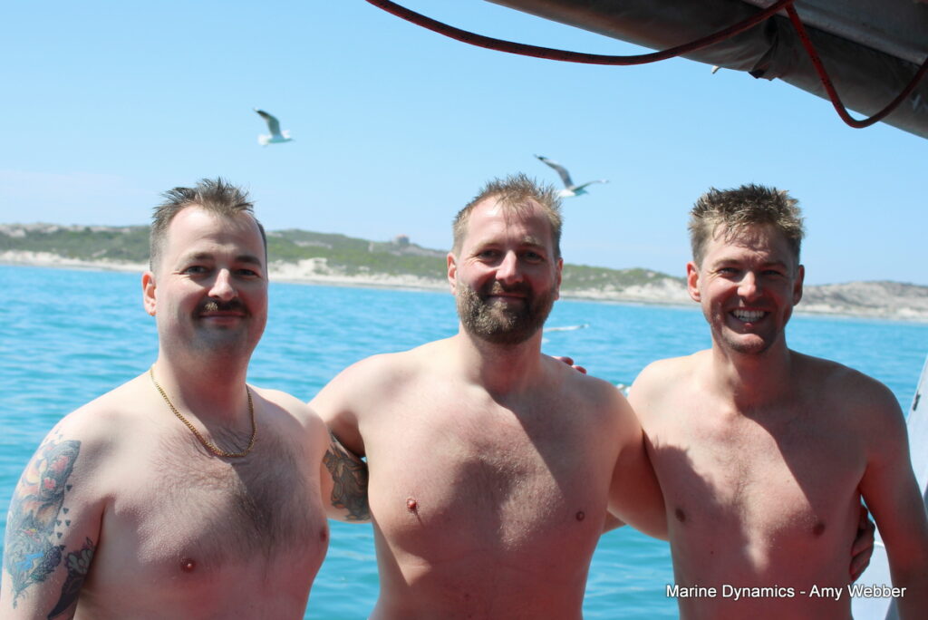 Shark cage diving, Gansbaai, South Africa