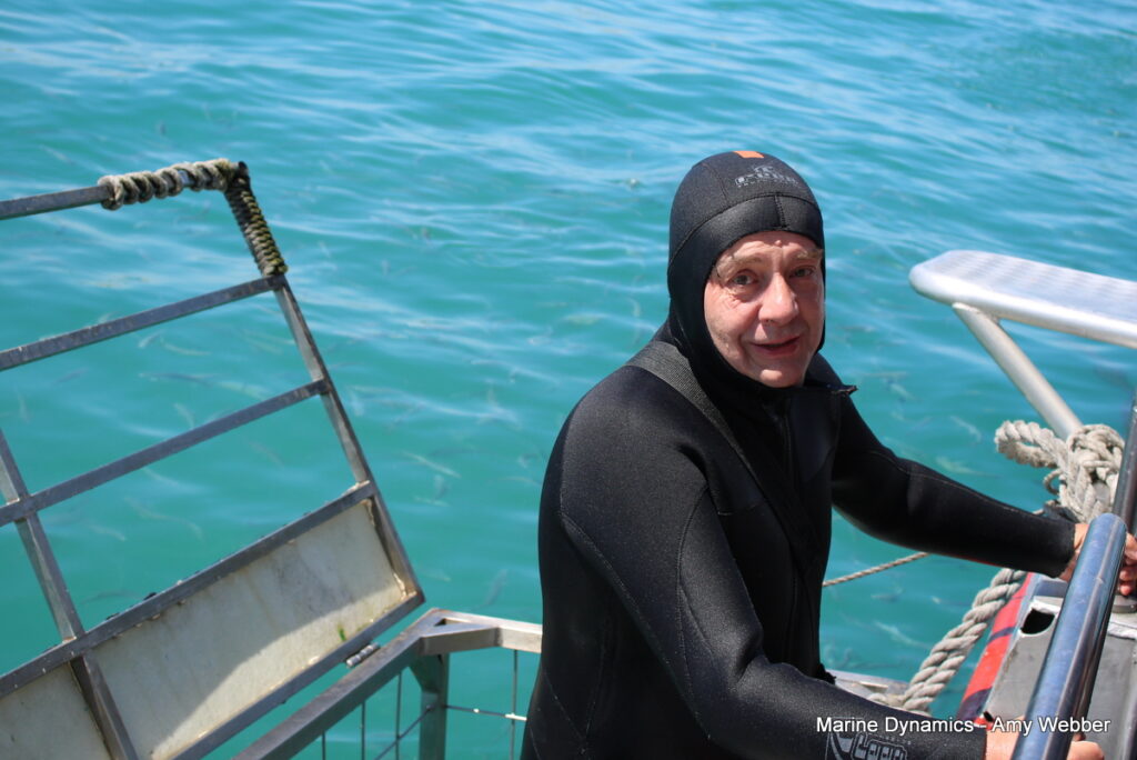 Shark cage diving, Gansbaai, South Africa