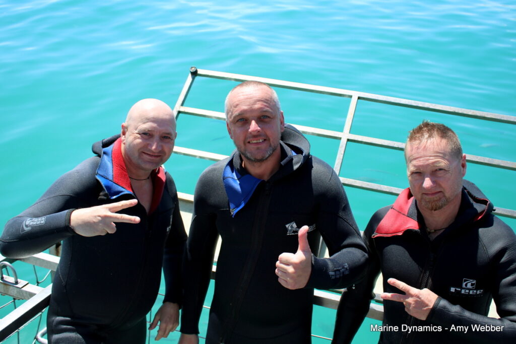 Shark cage diving, Gansbaai, South Africa