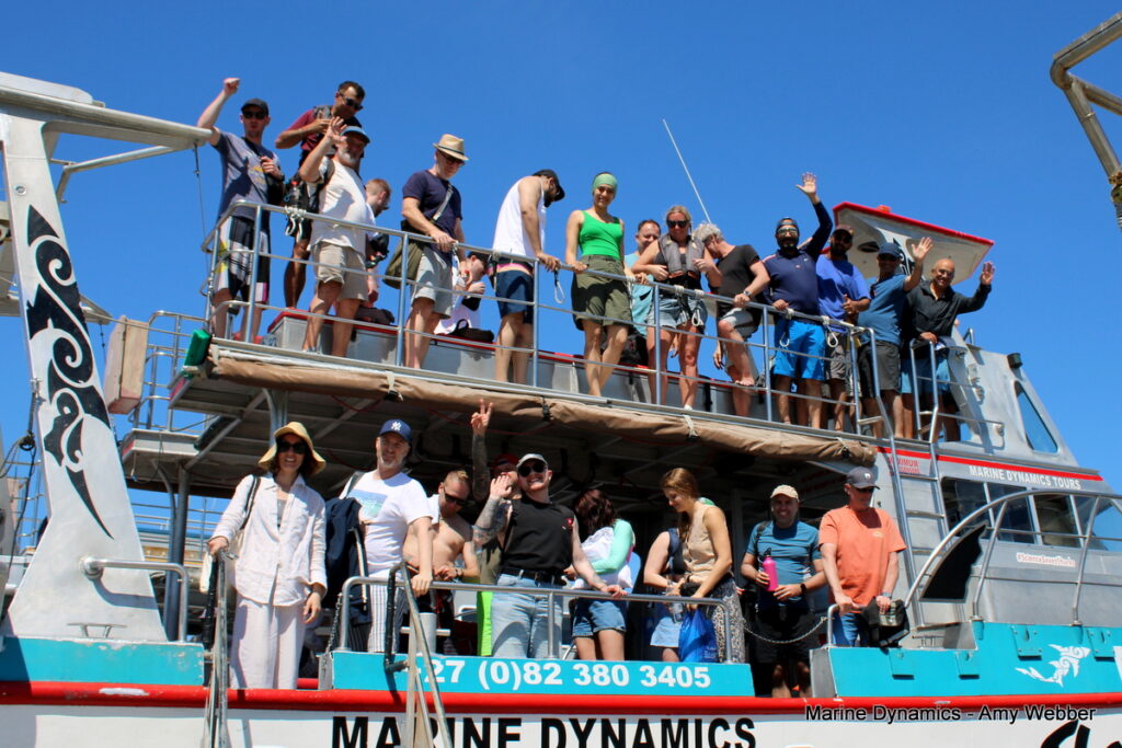 Shark cage diving, Gansbaai, South Africa