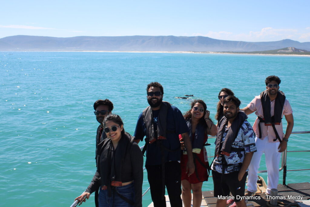 Shark cage diving, South Africa, Gansbaai