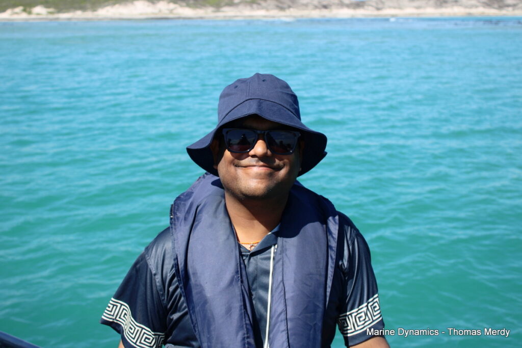 Shark cage diving, South Africa, Gansbaai