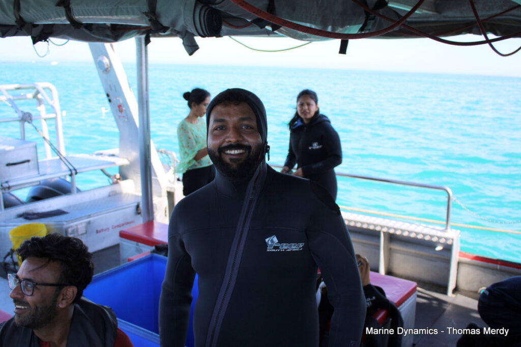 Shark cage diving, South Africa, Gansbaai