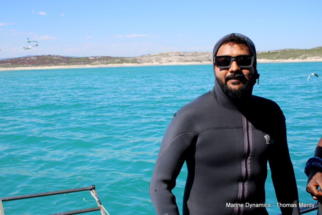 Shark cage diving, South Africa, Gansbaai