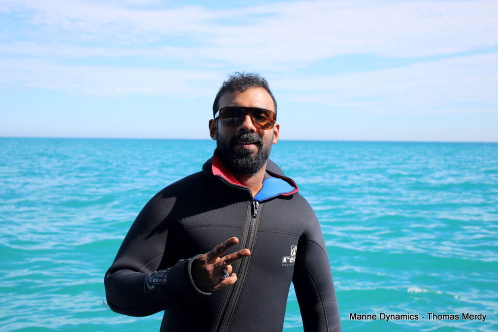 Shark cage diving, South Africa, Gansbaai