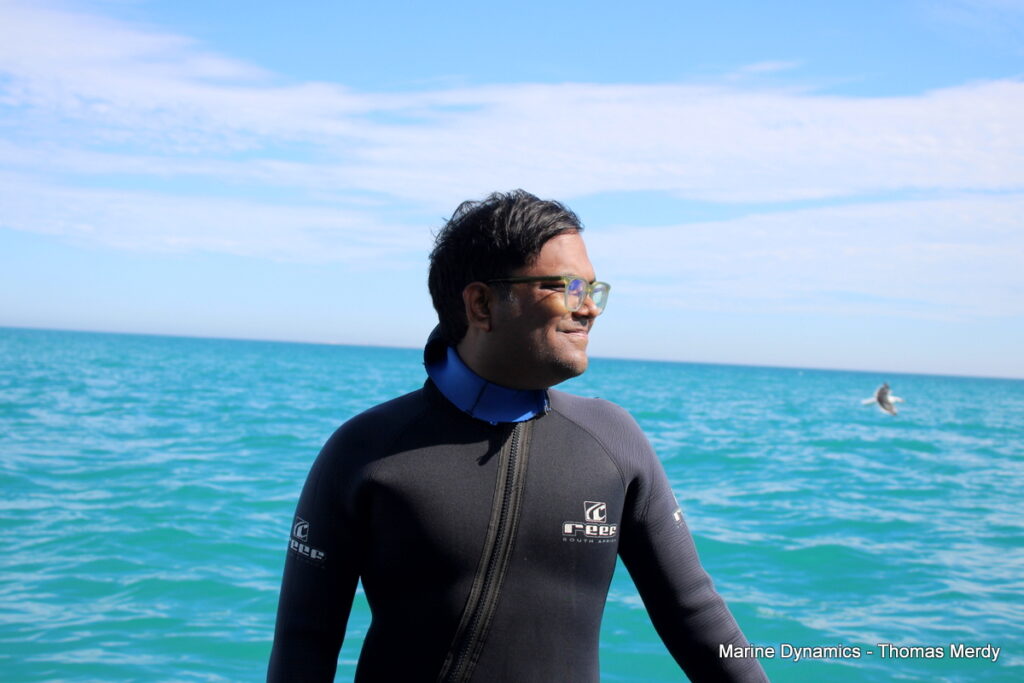 Shark cage diving, South Africa, Gansbaai