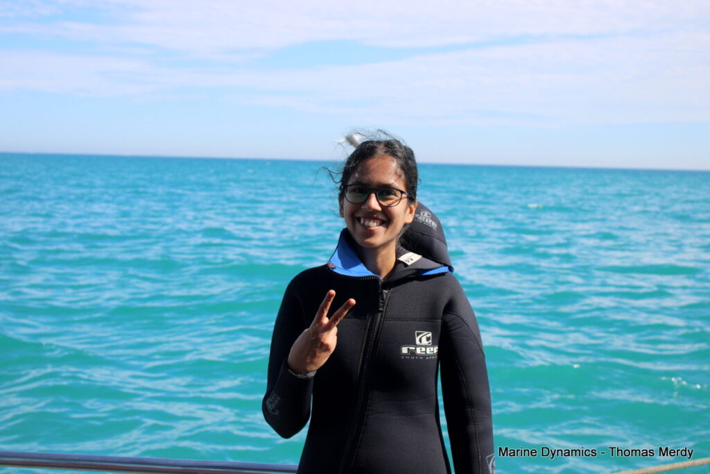 Shark cage diving, South Africa, Gansbaai