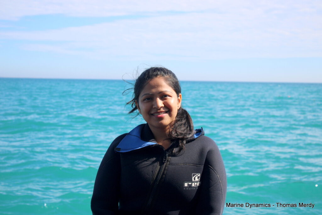 Shark cage diving, South Africa, Gansbaai