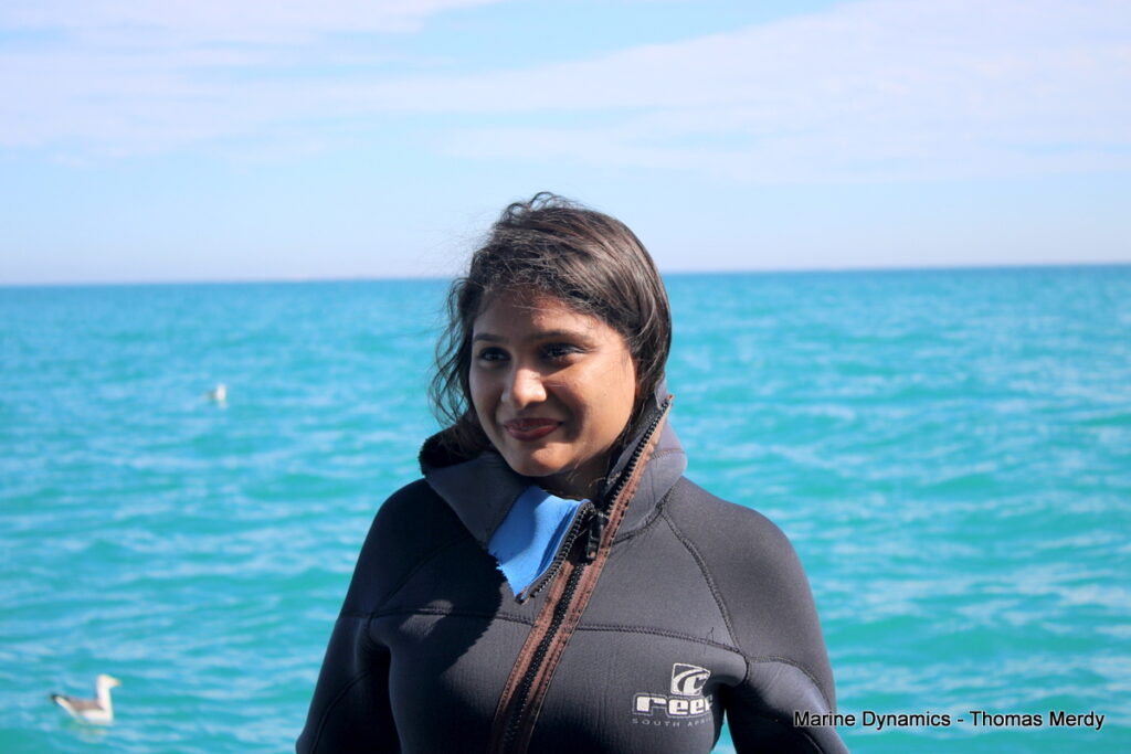 Shark cage diving, South Africa, Gansbaai