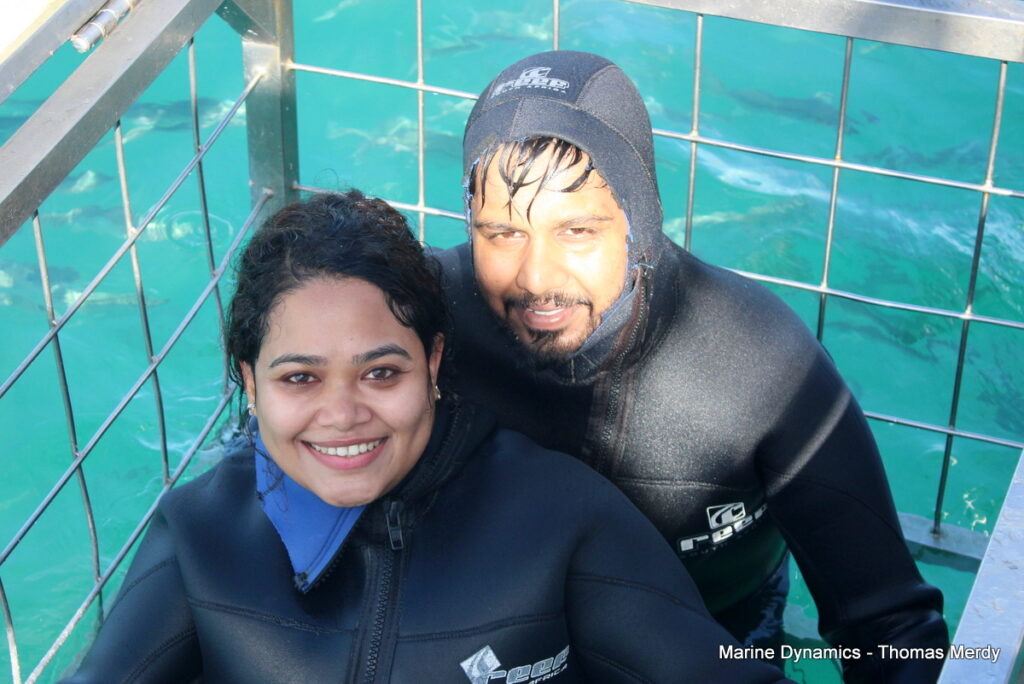 Shark cage diving, South Africa, Gansbaai