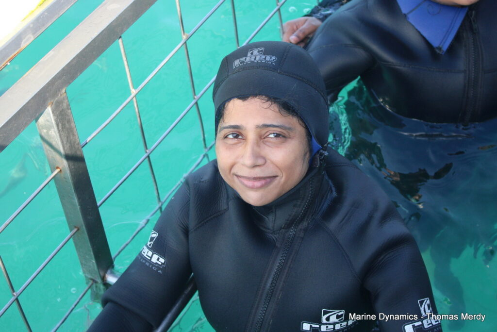 Shark cage diving, South Africa, Gansbaai