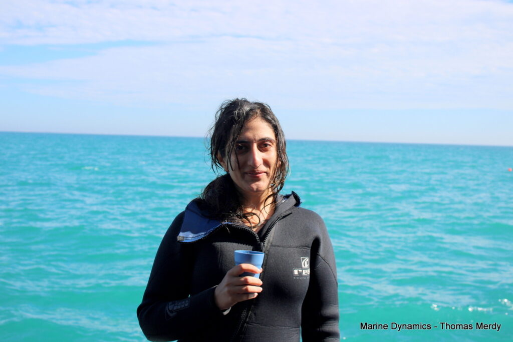 Shark cage diving, South Africa, Gansbaai
