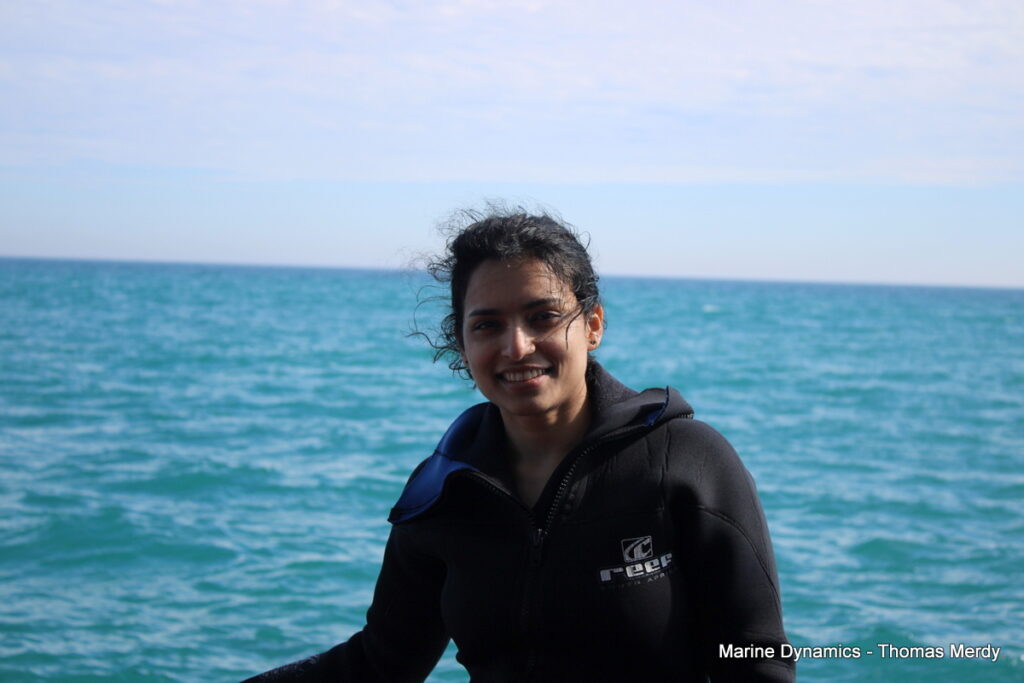 Shark cage diving, South Africa, Gansbaai