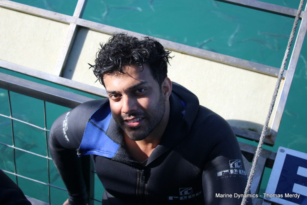 Shark cage diving, South Africa, Gansbaai