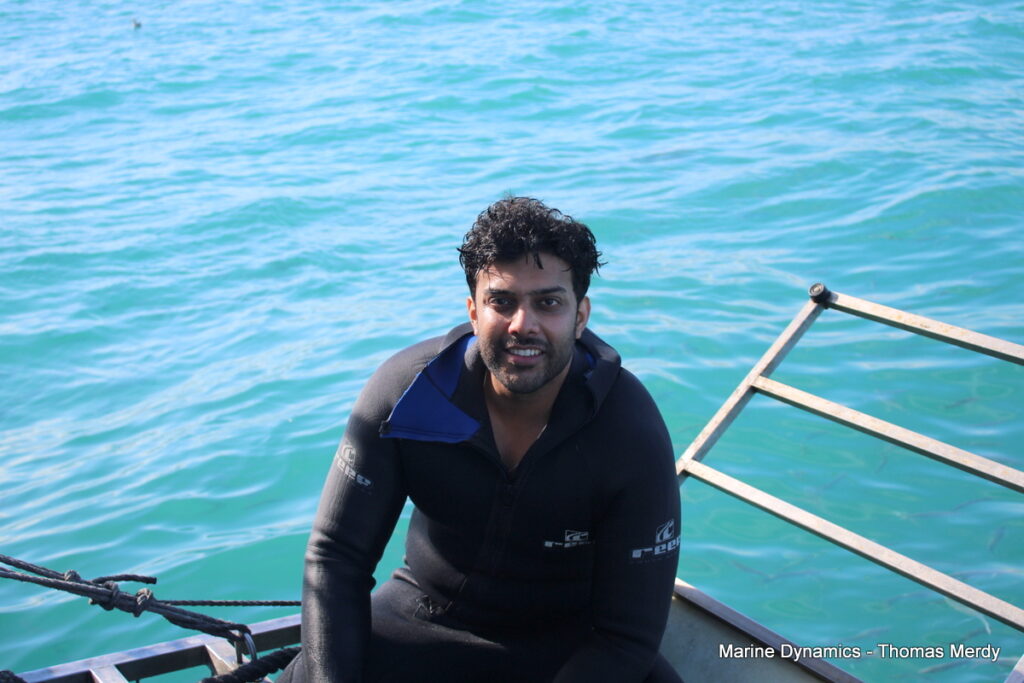 Shark cage diving, South Africa, Gansbaai