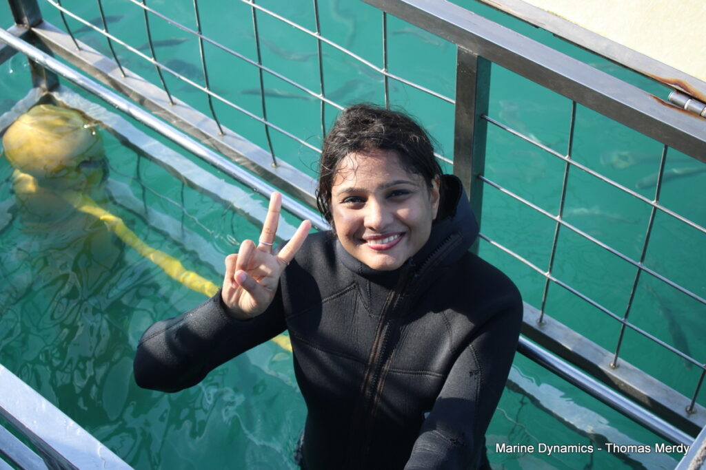 Shark cage diving, South Africa, Gansbaai