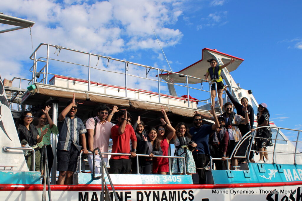 Shark cage diving, South Africa, Gansbaai