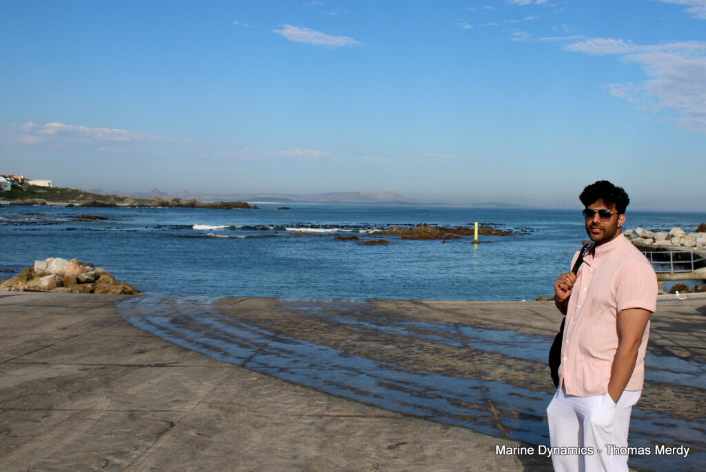 Shark cage diving, South Africa, Gansbaai